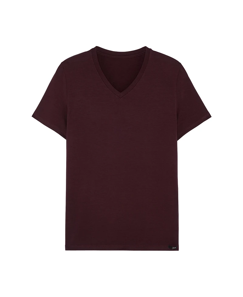 Hom Usa Men's V-Neck T-Shirt
