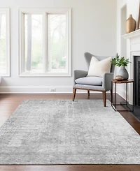 Addison Chantille Machine Washable ACN796 2'6''x3'10'' Area Rug