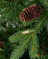 Seasonal 7.5ft Canyon Ranch Fir Tree, 380 Warm Led Lights