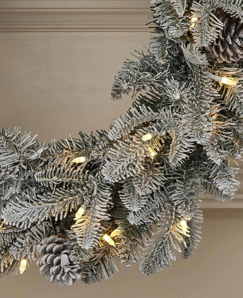 Seasonal 24" Lexington Fir Wreath, 50 Warm Led Lights