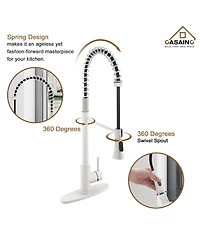 Casainc Spring Pull Down Sprayer Kitchen Faucet with Dual-Function Spray Head and Deck Plate