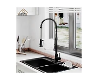 Casainc Spring Pull Down Sprayer Kitchen Faucet with Dual-Function Spray Head and Deck Plate