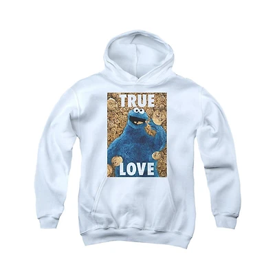 Sesame Street Youth Beautiful Cookies Pull Over Hoodie