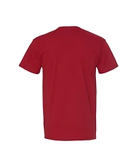 Dc Flash Mens Comics The Short Sleeve Adult Tee / T-Shirt