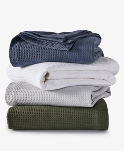 Arch Studio Waffle Cotton Blankets Exclusively At Macys
