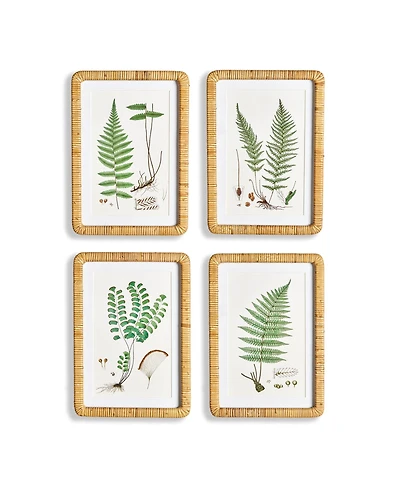Forest Fern Prints Set of 4