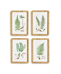 Forest Fern Prints Set of 4