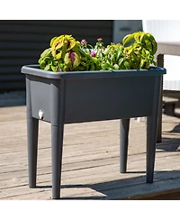 Self-Watering Raised Garden Bed with Cloche Cover - 30" W x 14.5" D x 33" H - Gray