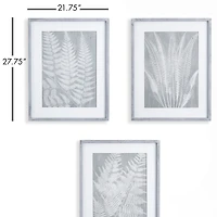 Fern Frond Prints, Set Of 3