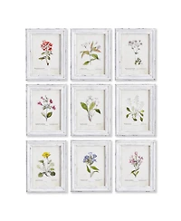 Garden Meadow Study Set of 9