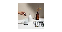 Sleep Surrender Essential Oil Blend