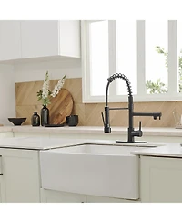 Single-Handle Pull-Down Sprayer 2 Spray High Arc Kitchen Faucet