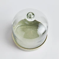 Kammie Serving Tray With Cloche Small