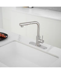 2 Sprayer Single Hole Single-Handle Pull Out Kitchen Faucet 360Swivel Spout