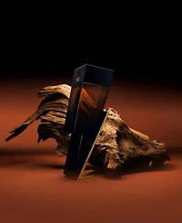 Carolina Herrera Mens Bad Boy Elixir Eau De Parfum Collection