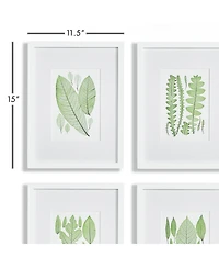 Assorted Leaf Prints, Set Of 4
