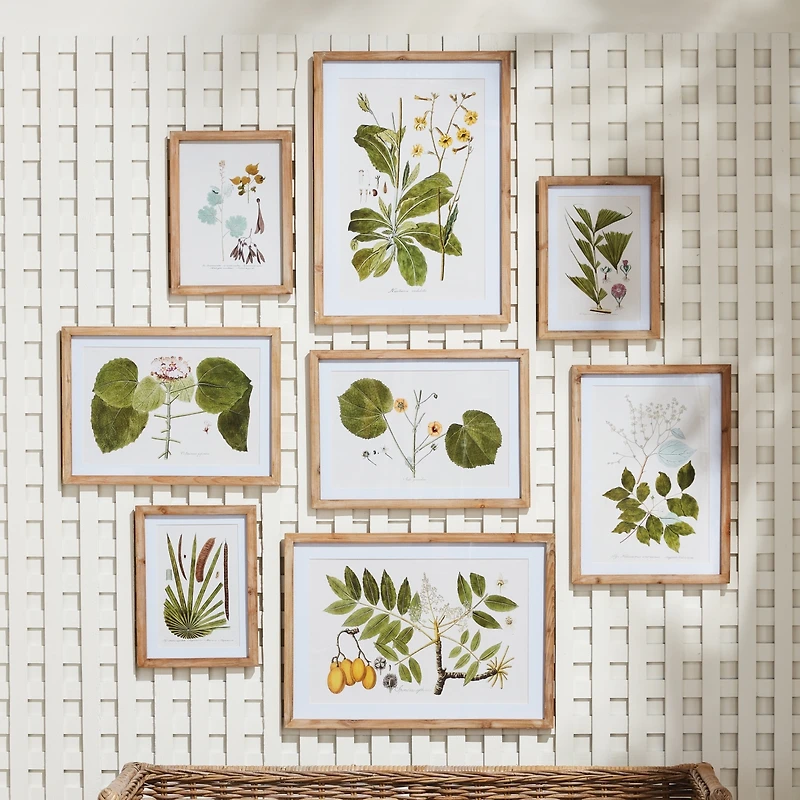 16.5"W x 0.75"D x 23"H and 13.25 x 0.75 x 18.5 and 10.25 x 0.75 x 13.75 Flora And Fauna Gallery Prints Framed Wall Art Set of 8