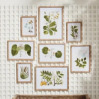 16.5"W x 0.75"D x 23"H and 13.25 x 0.75 x 18.5 and 10.25 x 0.75 x 13.75 Flora And Fauna Gallery Prints Framed Wall Art Set of 8
