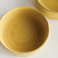 Studio Decorative Low Bowls Set of 2