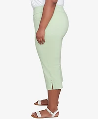 Hearts Of Palm Plus Solid Tech Stretch Pull On Pants
