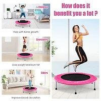 Mini Folding Trampoline Portable Recreational Fitness Rebounder