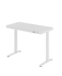 Flexispot EG9W-e, Electric Height Adjustable Glass Top Standing Desk, Black