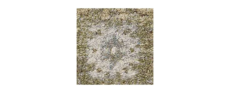 Loloi Tamryn Tam-03 2'7"x4' Area Rug
