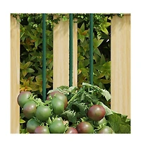Garden Plant Stakes 30 pcs Green 35.4" Steel