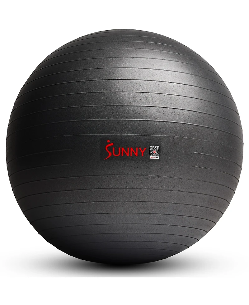Sunny Health & Fitness Premium Yoga Ball Large 75CM with Pump