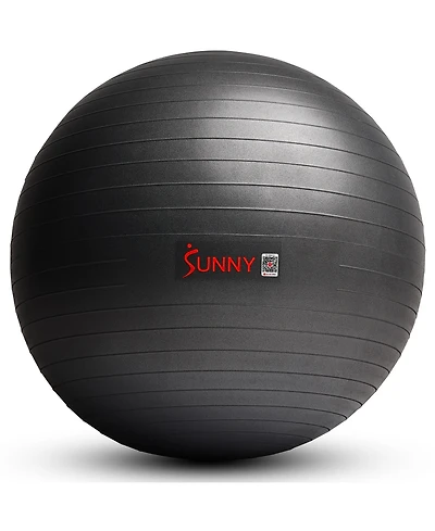 Sunny Health & Fitness Premium Yoga Ball Large 75CM with Pump