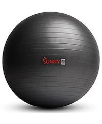 Sunny Health & Fitness Premium Yoga Ball Large 75CM with Pump