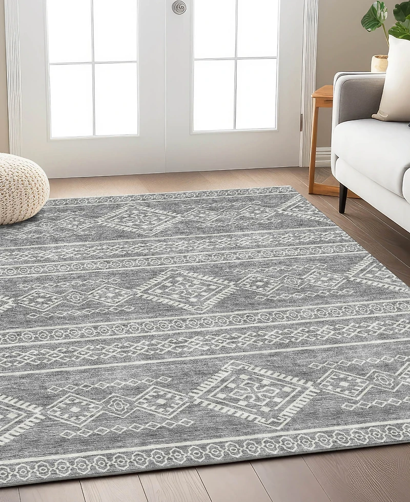 Addison Chantille Machine Washable ACN901 2'6"x3'10" Area Rug