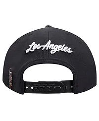 Pro Standard Men's Black Los Angeles Lakers Paint the City Pinch Front Snapback Hat
