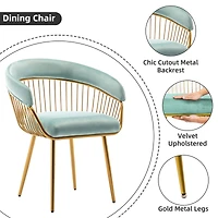 Dyhome Mid Century Dining Chair