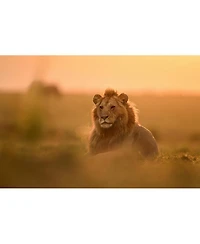Nikon Nikkor Z 400mm f/2.8 Tc Vr S Lens