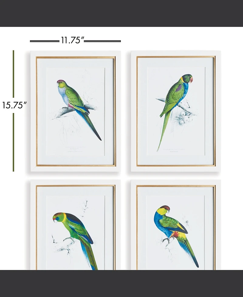 Colorful Parrots Prints St/4