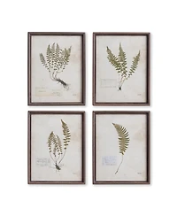 Petite Frond Prints Set of 4