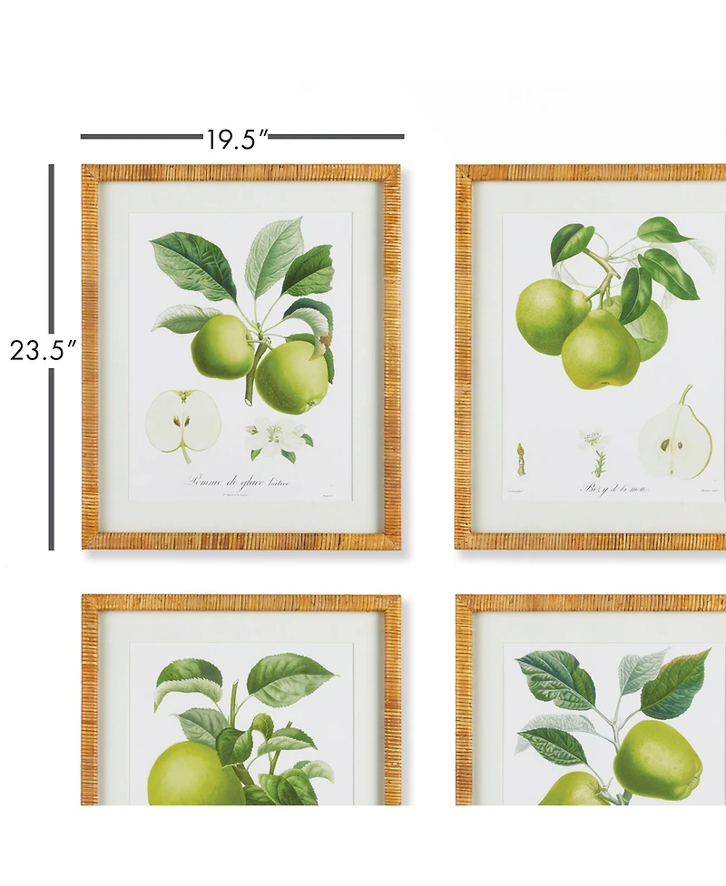 Fruit Study Set of 4