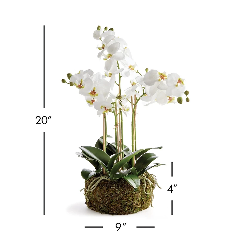 Phalaenopsis Orchid Bowl Artificial Plant Drop-In