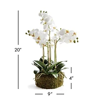 Phalaenopsis Orchid Bowl Artificial Plant Drop-In