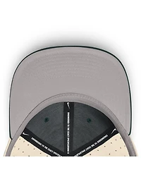 Nike Men's Natural Michigan State Spartans On-Field Dugout True Performance Fitted Hat
