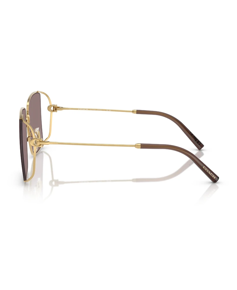 Coach Women's Large Sunglasses, CW429 HC7174D