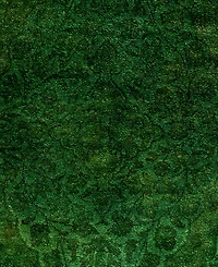 Adorn Hand Woven Rugs Fine Vibrance M1381 4'7''x6'10'' Area Rug