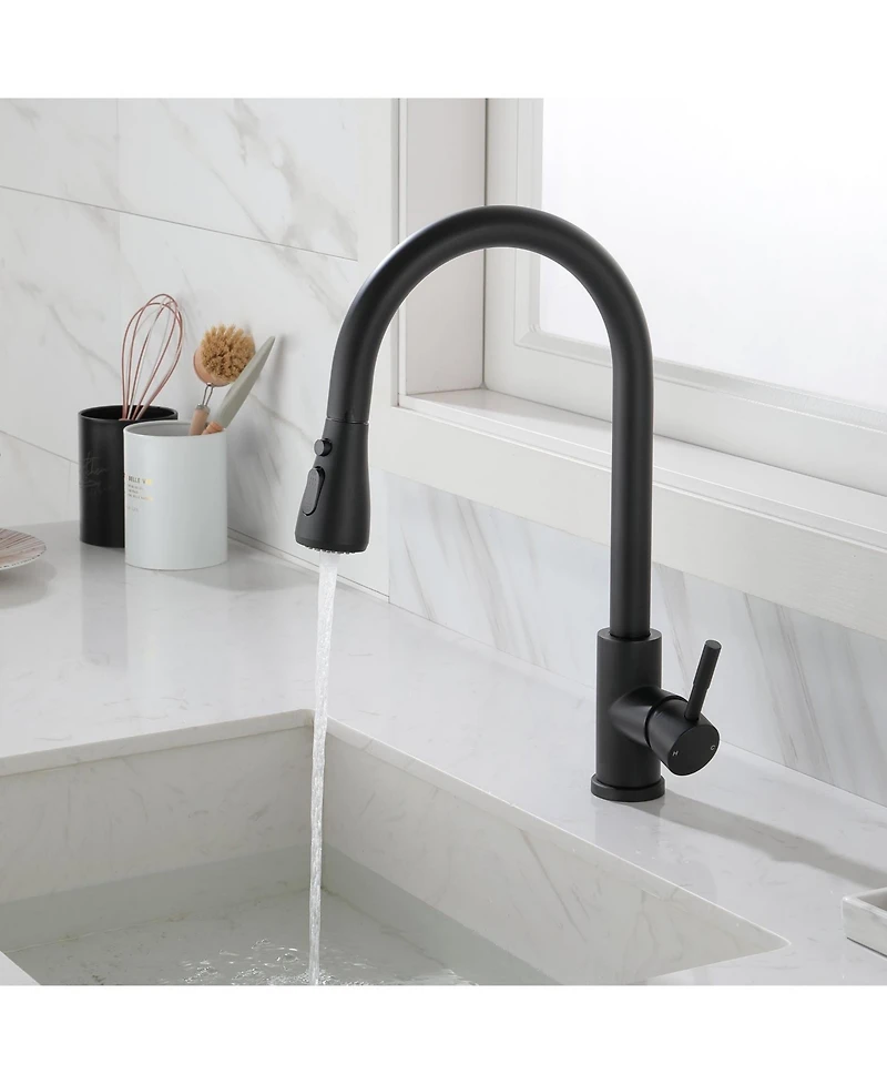 Kitchen Faucet with Pull Out Spraye