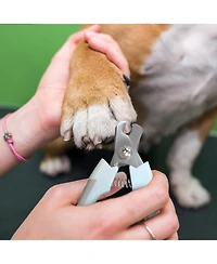 Ocean Plastic by Pt Blue Eco-Friendly Pet Nail Clipper, Sustainable Grooming Tool for Dogs and Cats