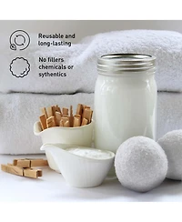 Pursonic Ultimate Laundry Care Bundle – Travel Steamer, Mini Iron, Fabric Shaver & More!