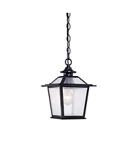 Hanging Terrarium Light – Modern Pendant for Living Room & Garden