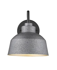 Barnes 1-Light Gray Wall Light