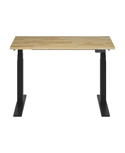 Flexispot E7-commercial 48 W Electric Adjustable Standing Desk, Rubber Wood Top, Black Base