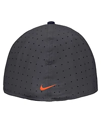 Nike Men's Anthracite Illinois Fighting Illini On-Field True Performance Baseball Fitted Hat